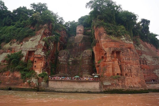 1-Day Chengdu Panda Base and Leshan Giant Buddha GROUP Tour - One focused hour at the Chengdu panda base
