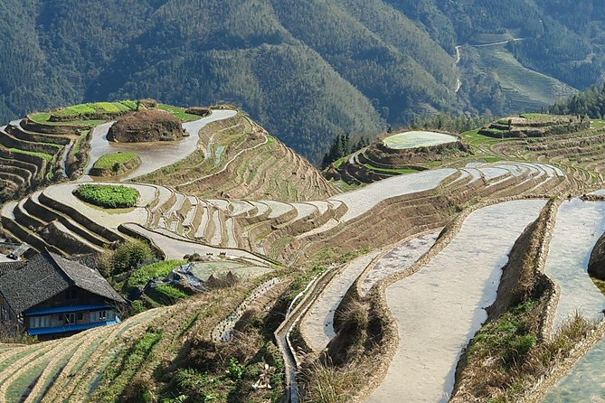 1-Day Longji Terrace Fields-Pingan village Tour with the English Speaking Driver - Pingan Village and the Zhuang houses