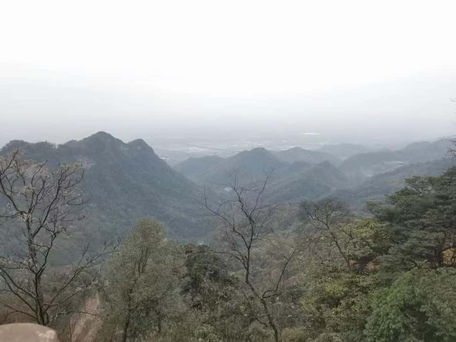 1-Day Mount Qingcheng and Dujiangyan Irrigation System Tour - Key points at a glance