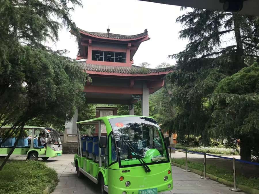 1-Day Mount Qingcheng and Dujiangyan Irrigation System Tour - Practical booking advice before you go