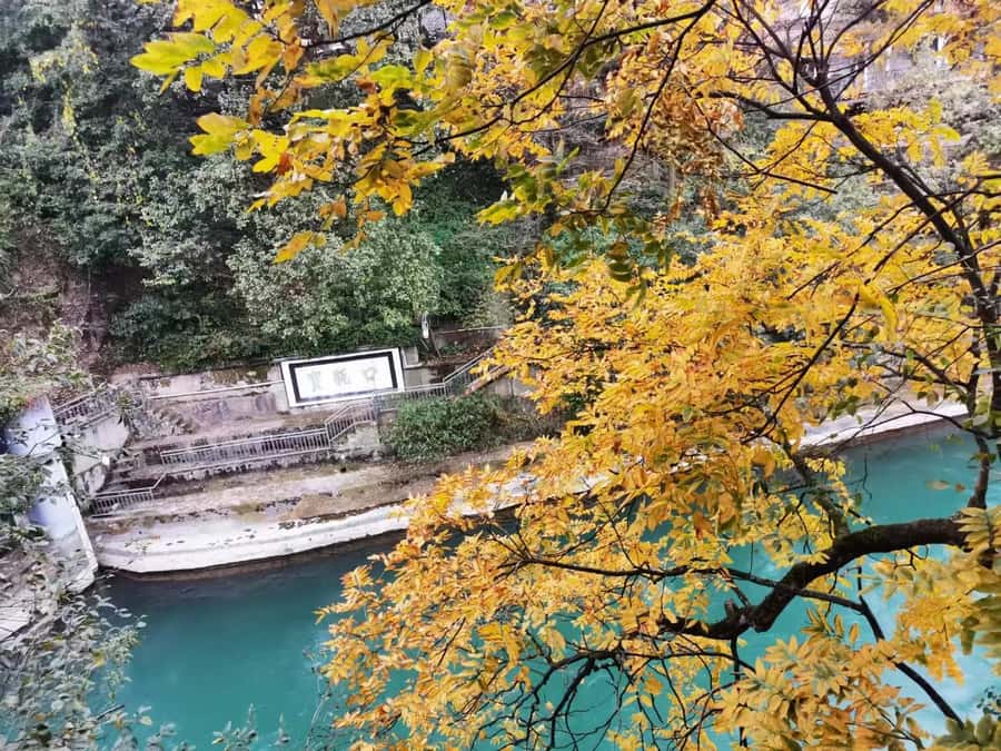 1-Day Mount Qingcheng and Dujiangyan Irrigation System Tour - Why this Sichuan day trip works