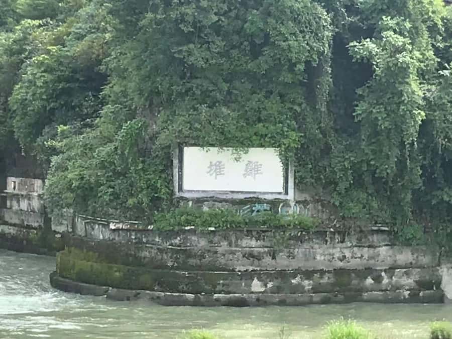 1-Day Mount Qingcheng and Dujiangyan Irrigation System Tour - Choosing between Front Mountain and Back Mountain