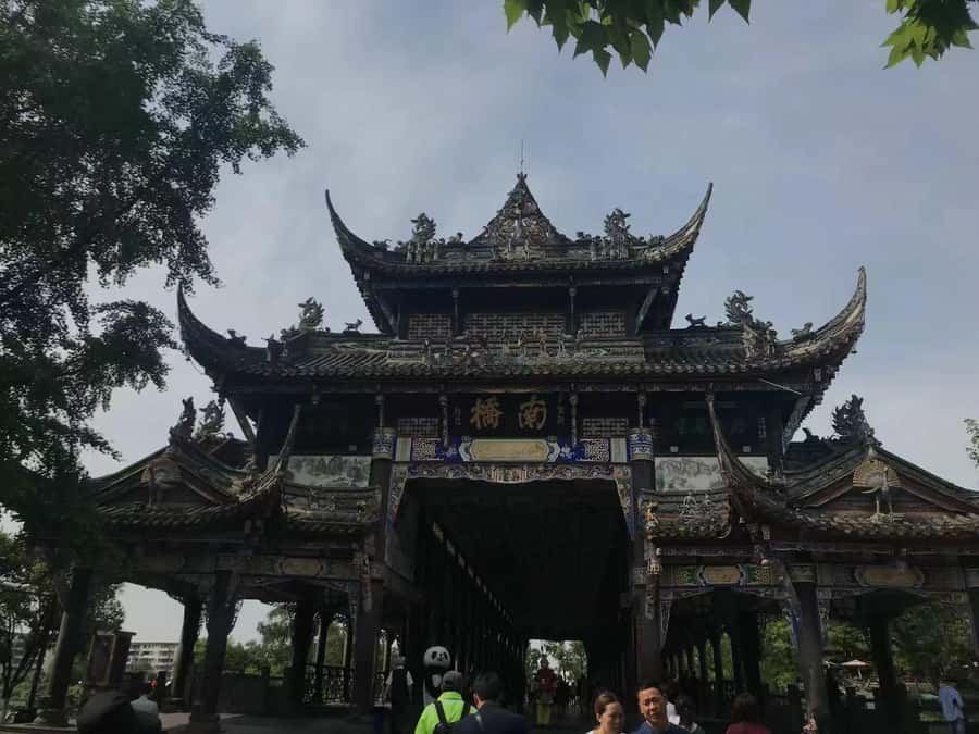 1-Day Mount Qingcheng and Dujiangyan Irrigation System Tour - Who should book this experience?