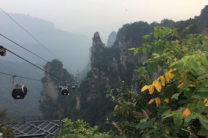 1-Day Private Tour to ZJJ National Forest Park & Avatar Mountain - What the $95 price really covers