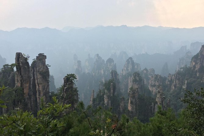 1-Day Private Tour to ZJJ National Forest Park & Avatar Mountain - The guides are the real advantage