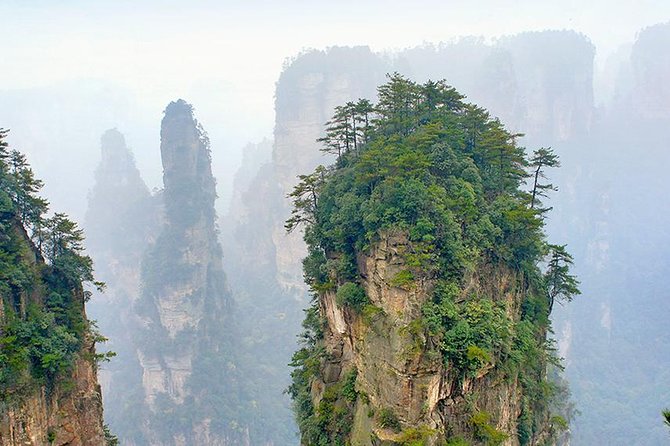 1-Day Private Tour to ZJJ National Forest Park & Avatar Mountain - Golden Whip Brook: an easy start beside the stream