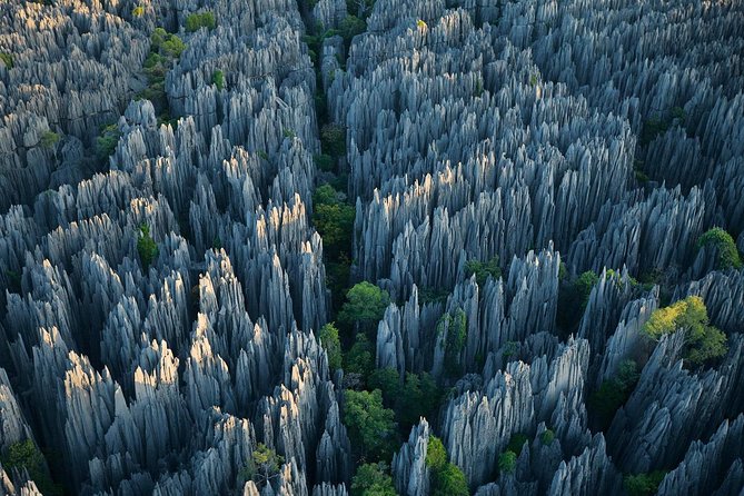1 Day Stone Forest & Jiuxiang Cave Tour - Key points at a glance