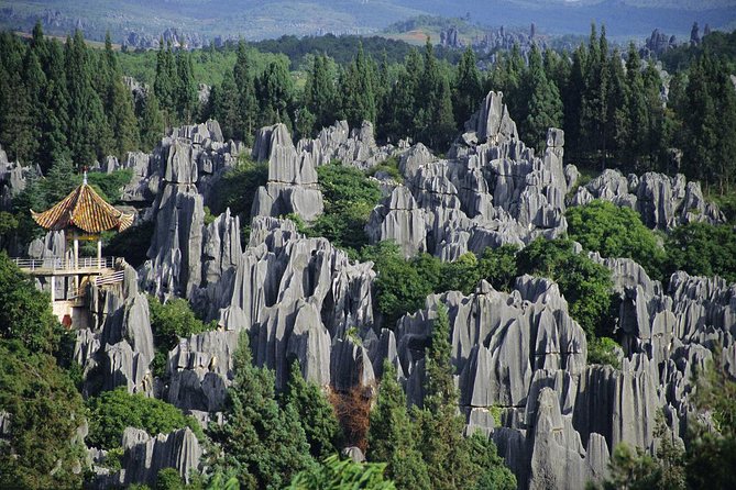 1 Day Stone Forest & Jiuxiang Cave Tour - What a private guide adds