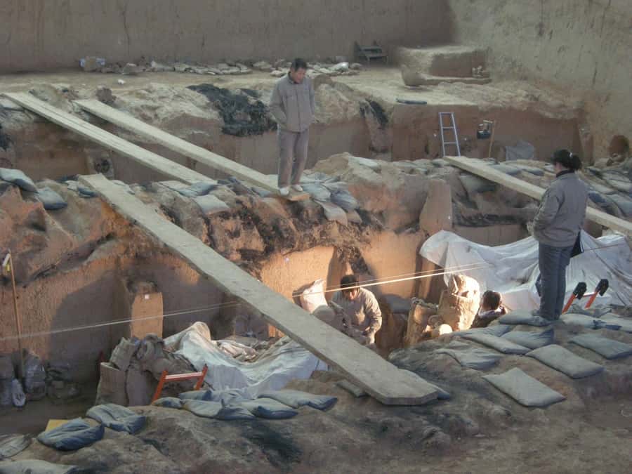 1-Day Terracotta Warriors Tour from Beijing/Chengdu/Shanghai - The people who make the long day easier