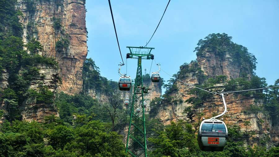 1 day tour Avatar Mountain and Grand Canyon & Glass Bridge - What the guide and transport add