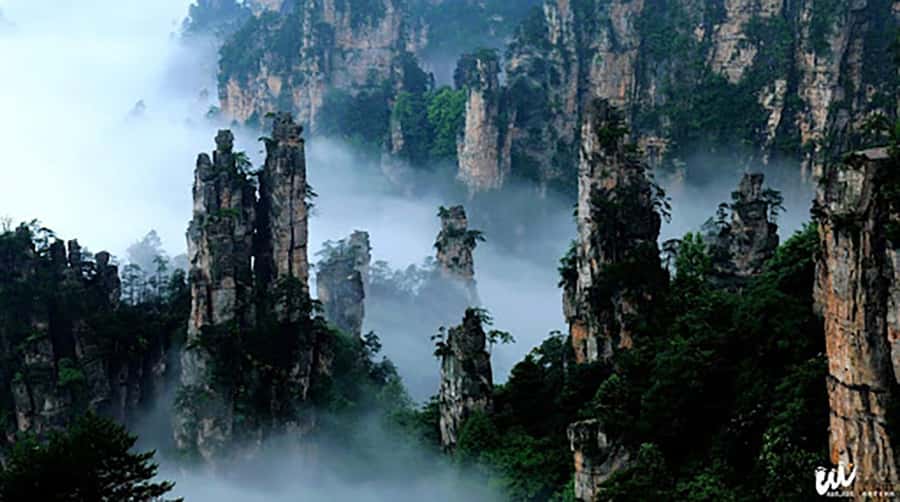 1 day tour Avatar Mountain and Grand Canyon & Glass Bridge - The real cost of the day