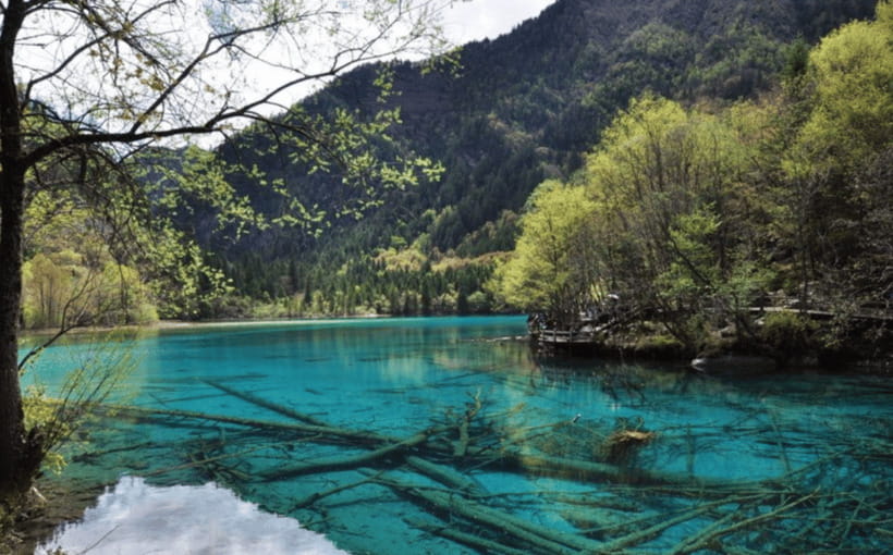 2 Day Chengdu to Jiuzhaigou&Huanglong Self-Guided w/Transfer - Day two: Huanglong and the route back to Chengdu