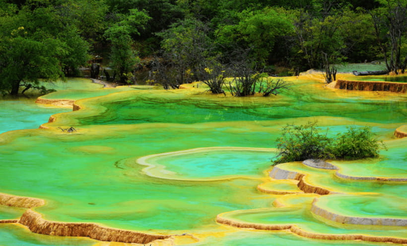 2 Day Chengdu to Jiuzhaigou&Huanglong Self-Guided w/Transfer - Communication and the role of Sunny