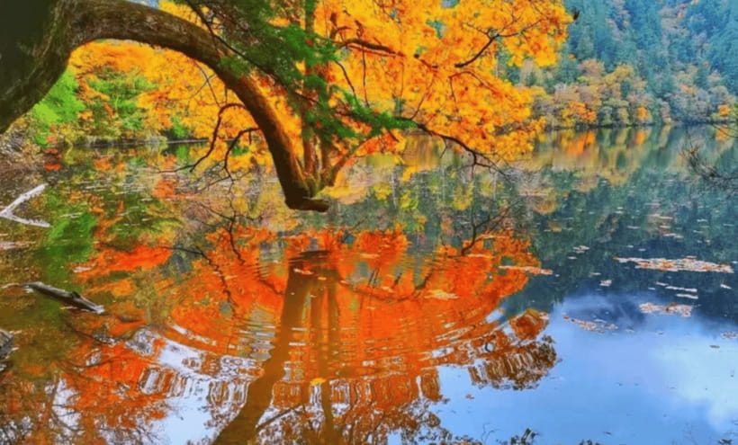 2 Day Chengdu to Jiuzhaigou&Huanglong Self-Guided w/Transfer - Who will enjoy this two-day plan