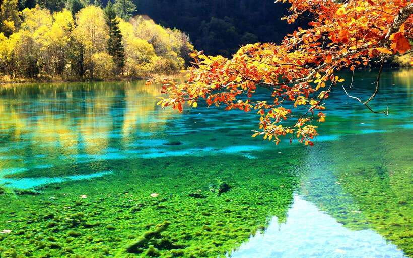 2 Day Chengdu to Jiuzhaigou&Huanglong Self-Guided w/Transfer - Day one: Chengdu to Jiuzhaigou by high-speed train