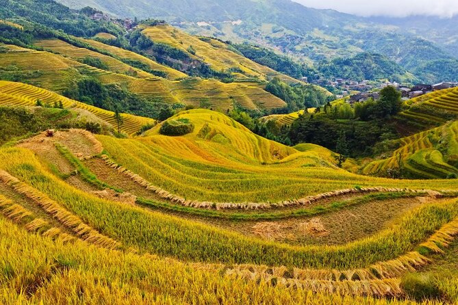 2 Day Guilin Highlights Li River Cruise and Longji Terraces Tour - What the $299 price really means
