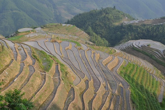 2 Day Guilin Highlights Li River Cruise and Longji Terraces Tour - Day two: a four-hour Li River cruise