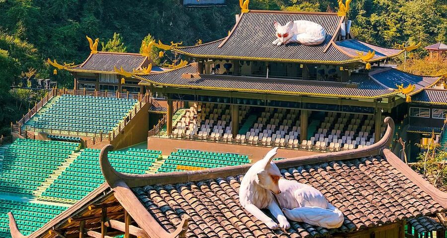 2-Day Private Zhangjiajie Tour Avatar Mountain, Glass Bridge - Tianmen Mountain packs the second day