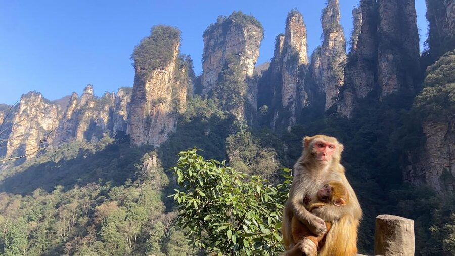 4-Day Highlights of Zhangjiajie With Sunrise Experience - Day 4: Tianmen Mountain’s cable car and cliffside drama