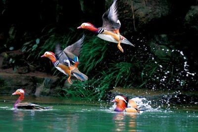 4-Day Zhangjiajie Tour to All Highlight Attractions with VIP Lift