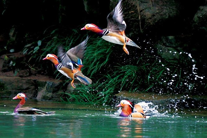 4-Day Zhangjiajie Tour to All Highlight Attractions with VIP Lift - Who should book this Zhangjiajie tour?