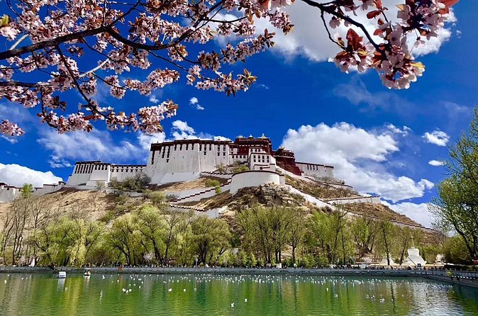 4 Days Lhasa Impression Small Group Tour - The altitude and the short schedule