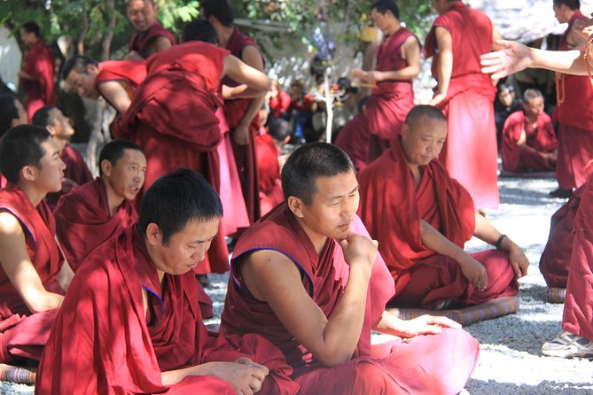4 Days Lhasa Impression Small Group Tour - Potala Palace: Lhasa’s great first sight