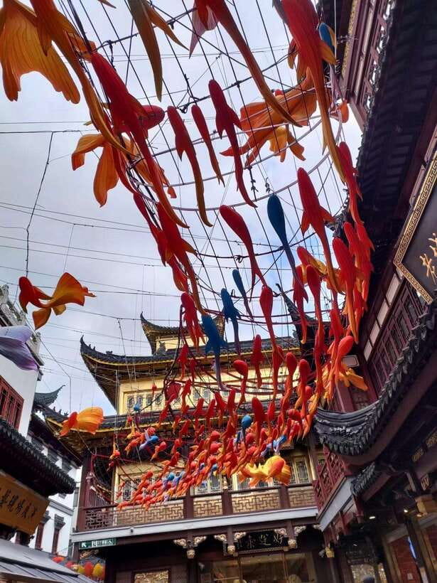 4-Hour Shanghai City Private Tour by German-Speaking Guide - The Bund and Shanghai’s split-screen skyline