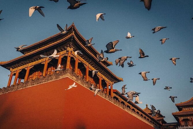 4-Hour Small Group Tour to Forbidden City with Entry Tickets - The guide makes the difference