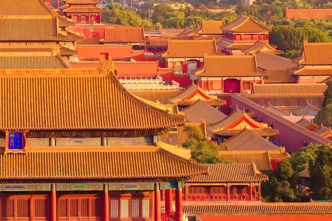 4 Hrs Forbidden City In depth Tour with Hotel pickup - Why the Treasure Gallery matters