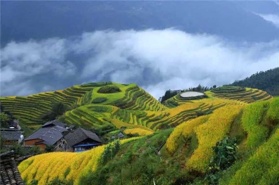 6-Day Private Tour: Guilin Terraces, Fenghuang & Zhangjiajie - Day 1: Longji starts with Yao village life