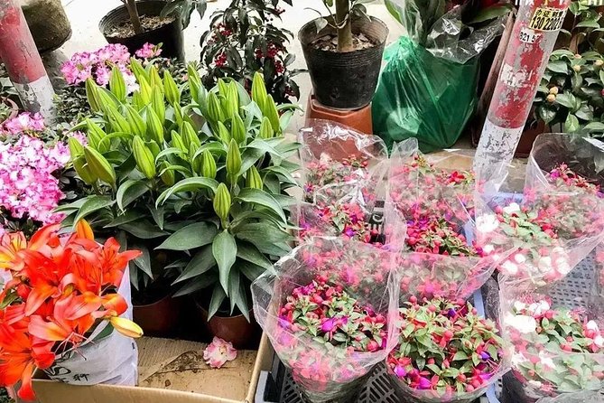 6-Hour Private Beijing Tour: Flower and Fish Market, Panjiayuan Antique Market and 798 Art Zone - Changing pace at the 798 Art Zone