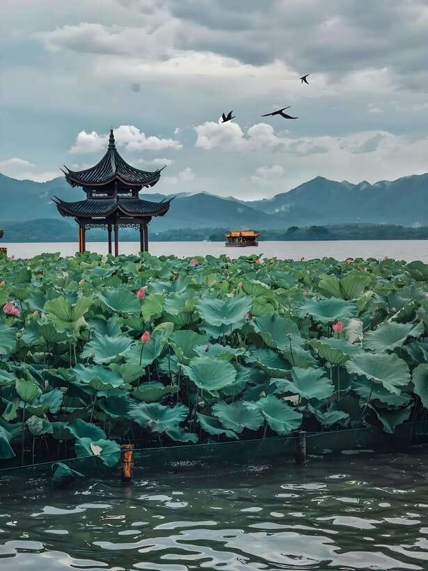 7 hours Hangzhou Tour Itinerary - Key points to know before booking