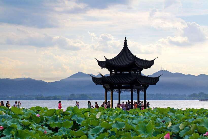 7 hours Hangzhou Tour Itinerary - Learning about Longjing tea for one hour