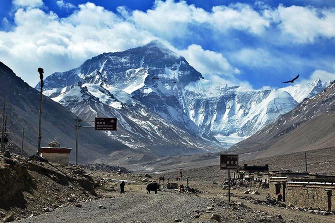 8 Days Lhasa Gyantse Shigatse Mt Everest Group Tour - Shigatse and Tashilunpo Monastery