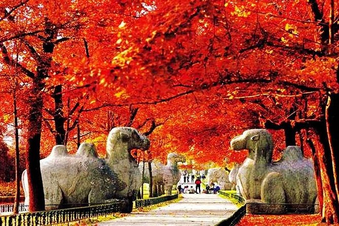 All Inclusive Nanjing City Private Day Tour with Tailor-Made Highlights - Why this private Nanjing tour works well