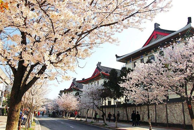 All Inclusive Nanjing City Private Day Tour with Tailor-Made Highlights - Dr. Sun Yat-sen’s Mausoleum rewards a slow climb