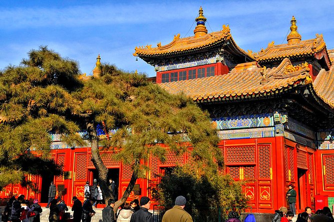 All-inclusive Private Day Trip: Hutongs, Lama Temple & Panda House with Lunch - Climbing Jingshan Hill for the city view