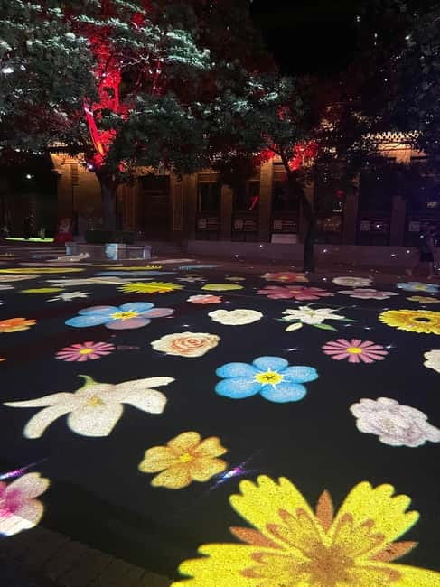 Badaling Great Wall Night Tour+ Light Show + Performance - How staff support can vary