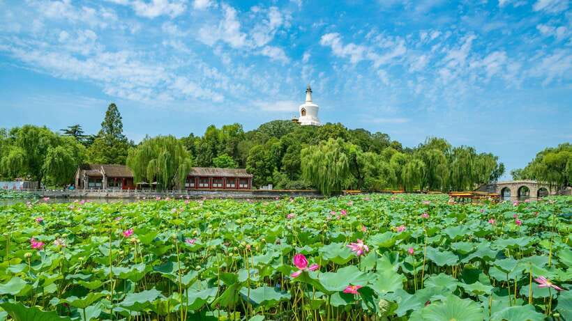 Beijing: Beihai Park Entry Ticket & English PDF Guidebook - A three-hour route around the imperial garden