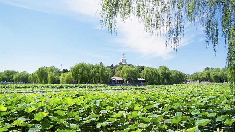 Beijing: Beihai Park Full Access Ticket - Must-See in China - Who should book this experience?