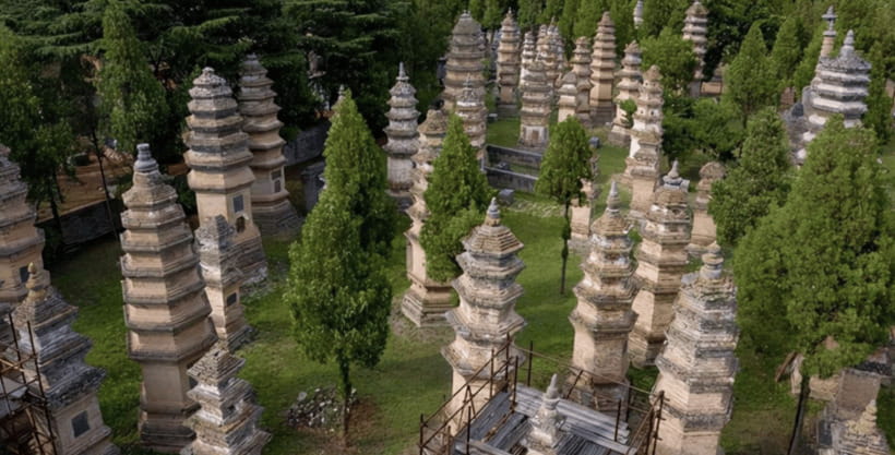 Beijing:Bullet Train Day Tour to Shaolin Temple&Martial Arts - The Shaolin monk kung fu performance
