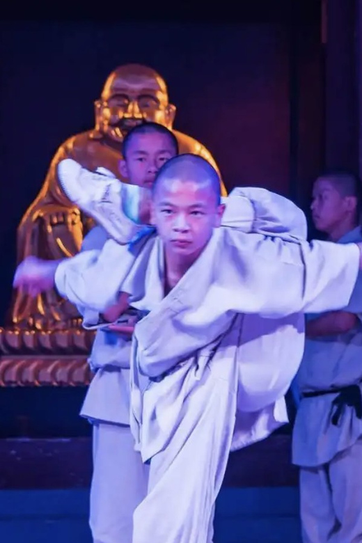Beijing:Bullet Train Day Tour to Shaolin Temple&Martial Arts - Is $348 a fair price?