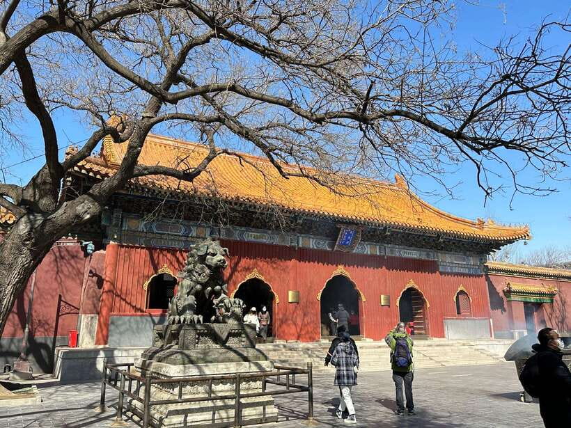 Beijing: Dim Sum Breakfast+Hutong Tour with Optional Add-Ons - What the base two-hour tour gives you