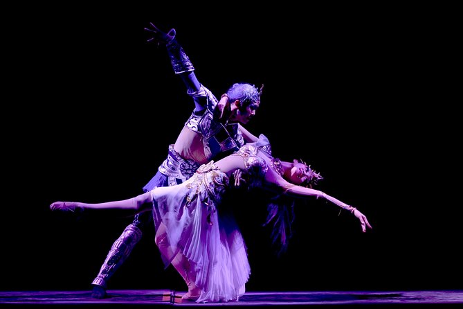 Beijing Evening Tour: Chaoyang Acrobatic Show with Peking Duck Dinner - What the $138 Price Really Buys
