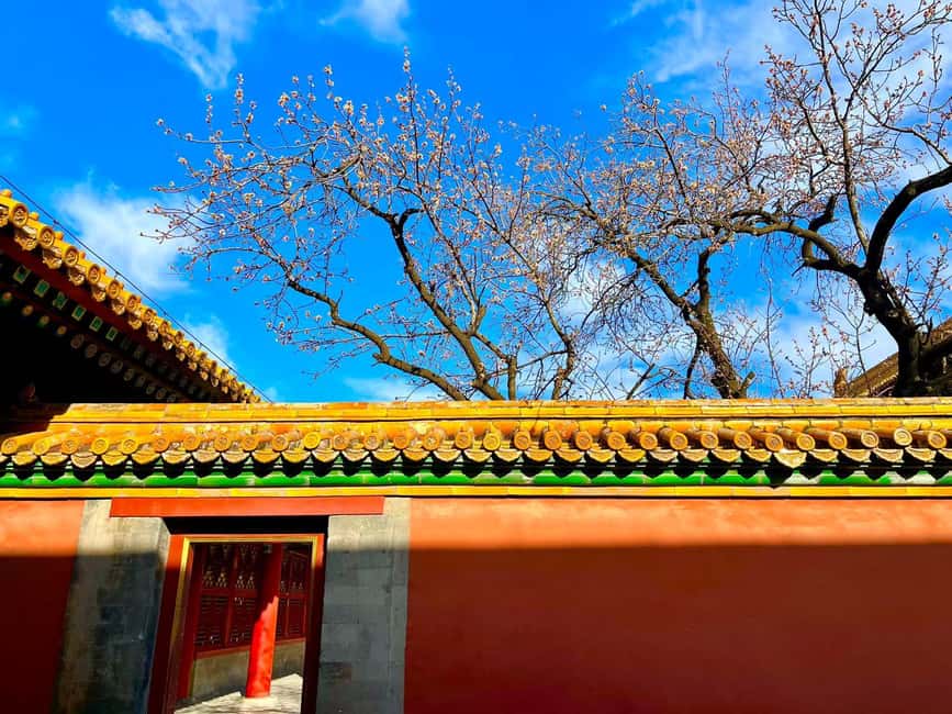 Beijing:Forbidden City--Reveal Secrets Behind Red Walls - The Imperial Garden and the northern exit
