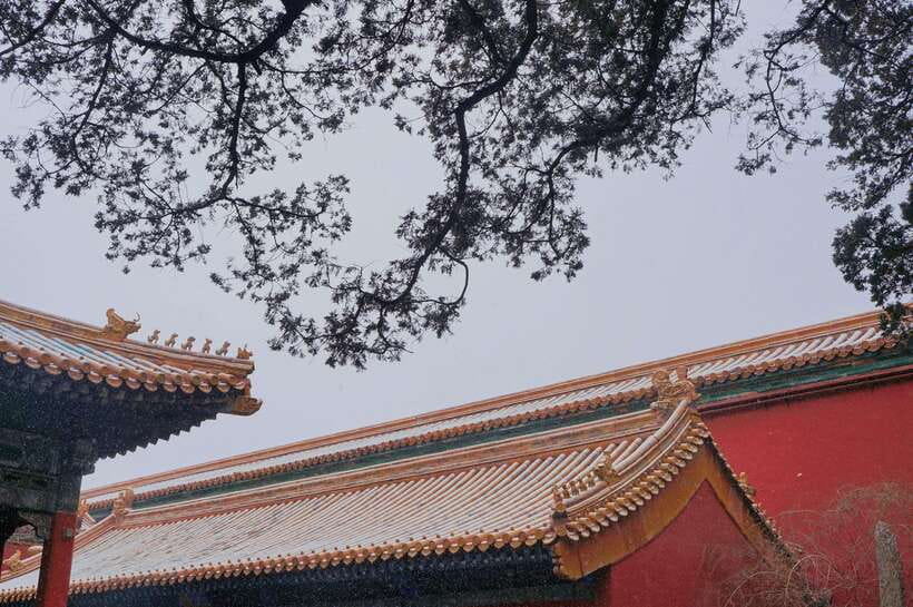 Beijing:Forbidden City & Tian'anmen Square with entry ticket - Is $30 good value?