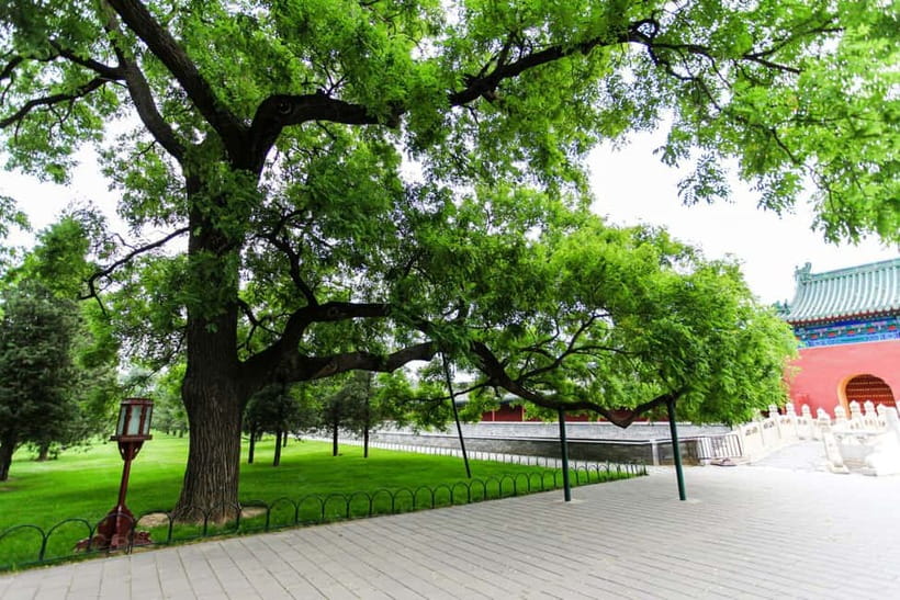 Beijing:Forbidden City Tour—Temple, Summer Palace&Great Wall - Who will get the best value from this tour?