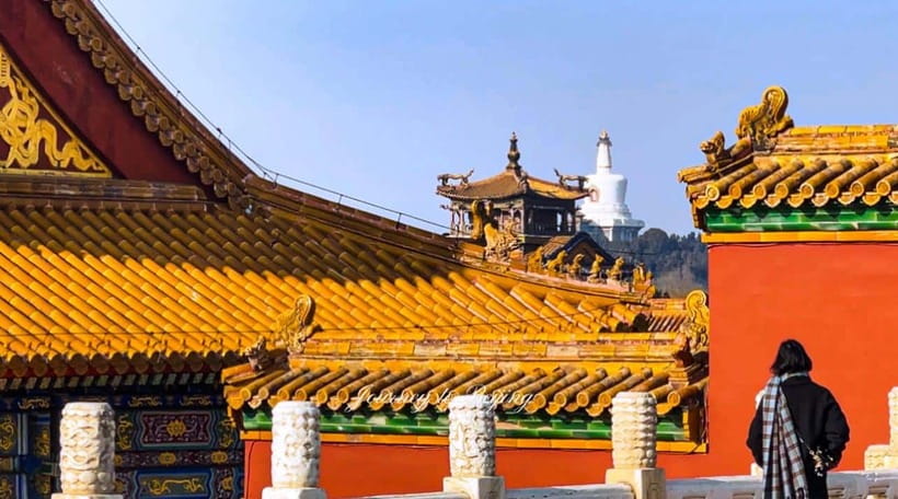 Beijing: Highlights of Forbidden City Private Walking Tour - Choosing an afternoon: Temple of Heaven or Summer Palace