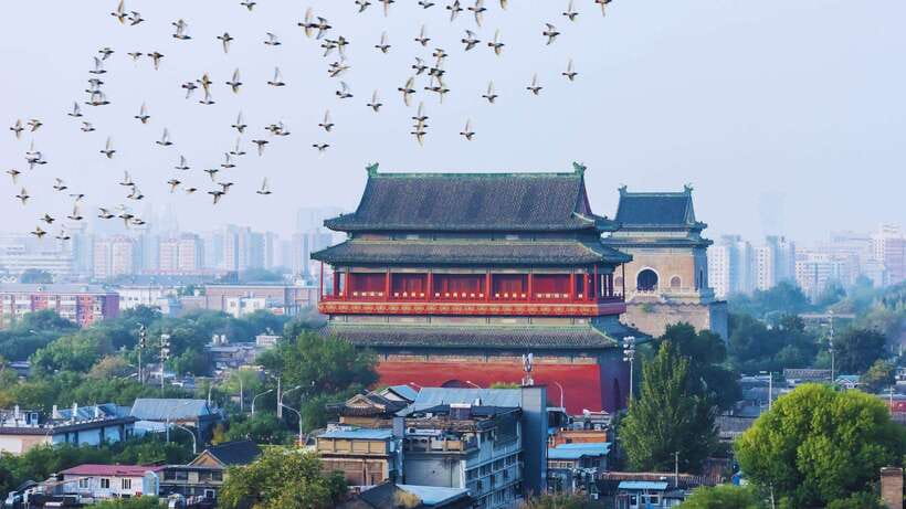 Beijing: Hutong Private Tour - Rickshaw Ride & English Guide - The included meal and what it adds